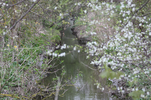 Støvlebækrenden | Grundejerforeningen Solhjemgården Strandskadevej Mejsevænget Mejsevej Kirke Stillinge Strand 4200 Slagelse musholm bugt storebælt vestsjælland Støvlebækrenden | Grundejerforeningen Solhjemgården strandskadevej mejsevænget mejsevej kirke stillinge strand 4200 slagelse musholm bugt storebælt vestsjælland